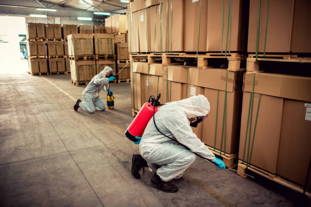 Flea Control Services in Homer City, PA