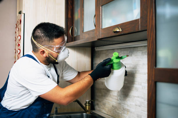  Homer City, PA Pest Control Pros