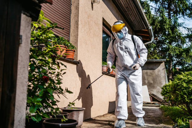 Best Residential Pest Control  in Homer City, PA