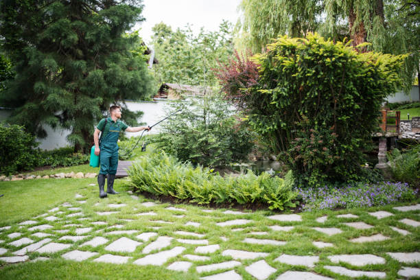 Wasp Removal Services in Homer City, PA