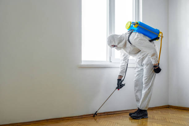 Best Best Pest Control Companies  in Homer City, PA