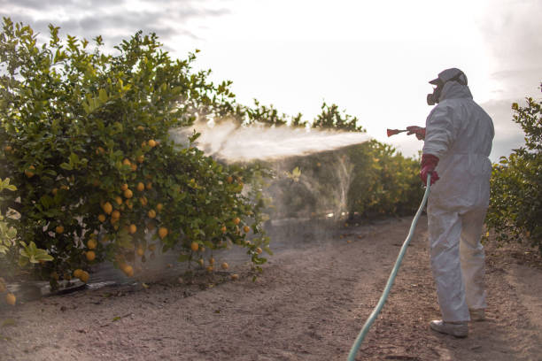Best Bed Bug Extermination  in Homer City, PA