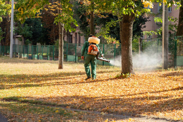 Best Wildlife Control Services  in Homer City, PA