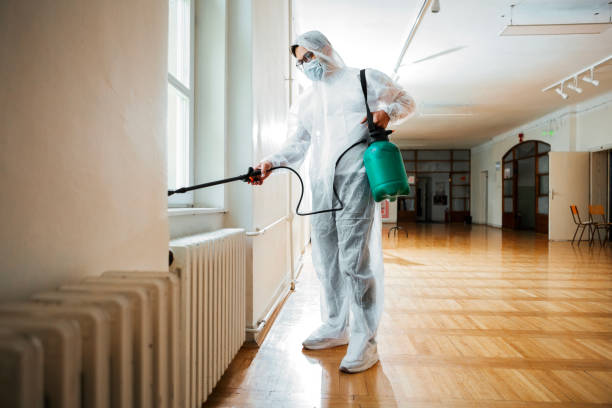 Best Local Pest Control Services  in Homer City, PA
